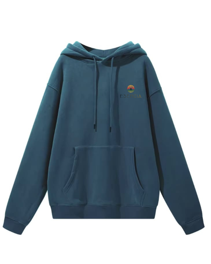Sudadera con capucha HAZE BLUE bordada